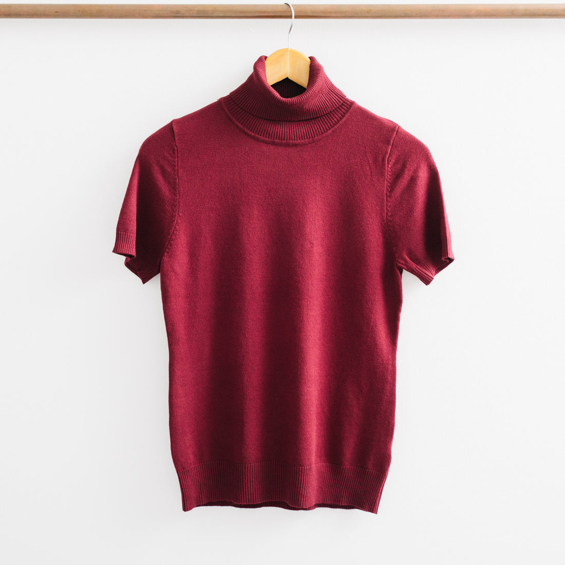 Meira Turtleneck Short Sleeve Sweater Top
