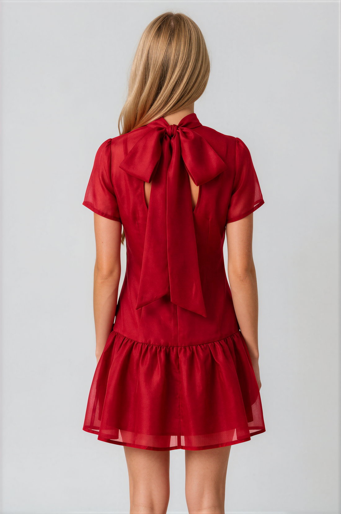 Abeline Sheer Mock Neck Mini Dress