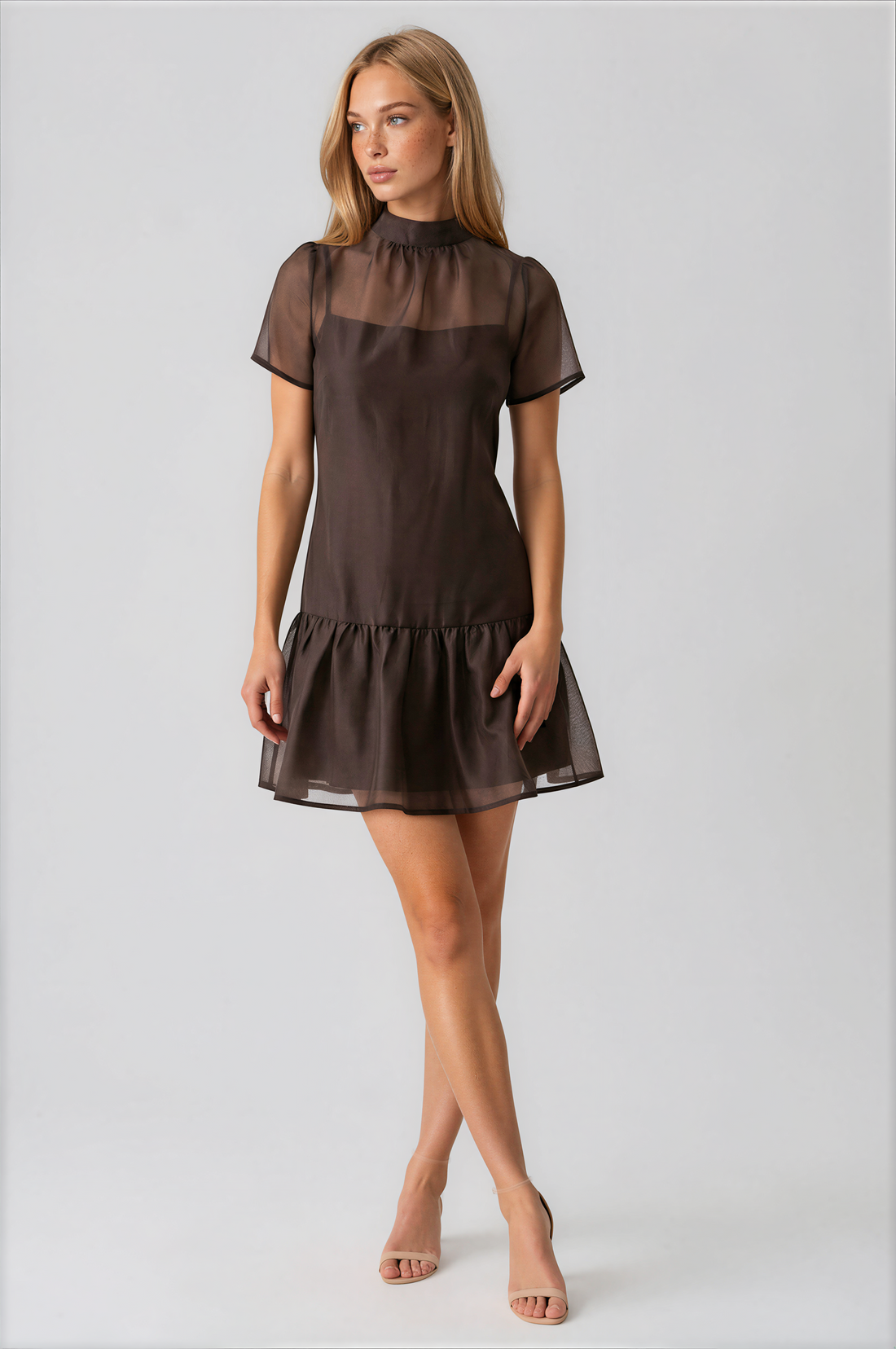 Abeline Sheer Mock Neck Mini Dress